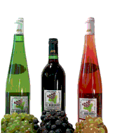 Nuestro vino  -  Unser Wein