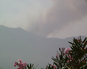 INCENDIO EN EL JULAN: Dessarrollo del frente